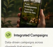 Integrated campaigns