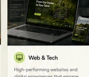 Web and tech